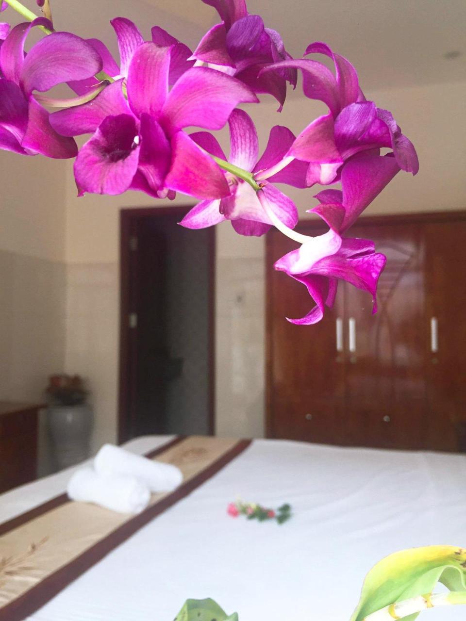 Holy Land Homestay Hội An Kültér fotó