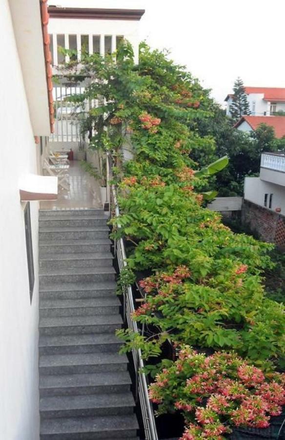Holy Land Homestay Hội An Kültér fotó
